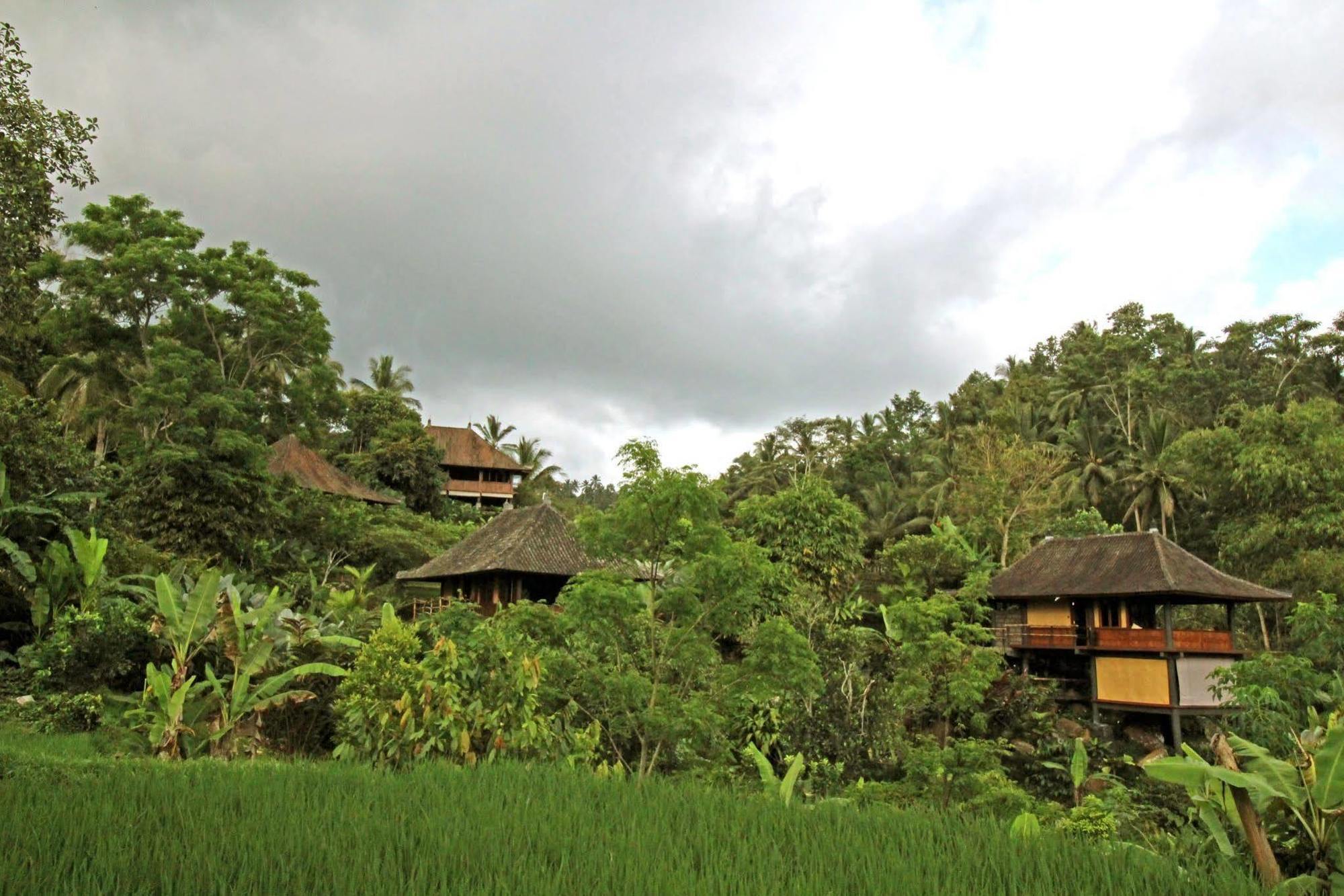 Bali Eco Stay Eksteriør billede